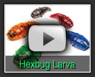 VEX HEXBUG Larva - The Robot MarketPlace